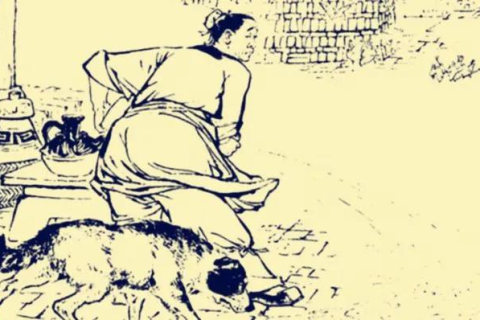 我梦见被狗追，一场梦境的深层解析与心理启示
