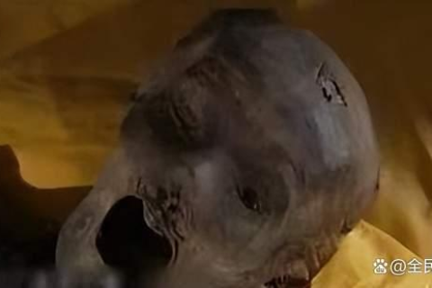 梦境中的奇异之旅，梦见死人骨架复活像自己讨水喝