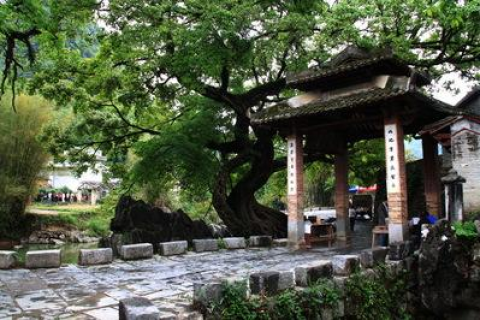梦境解析，探寻梦中鲤鱼的含义与深层解读
