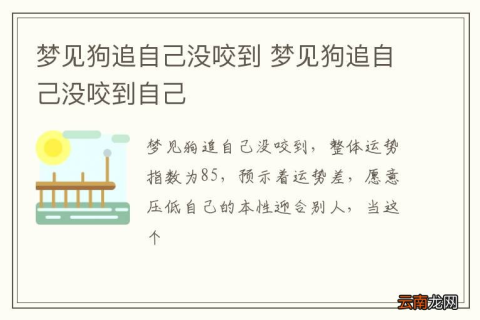 梦见被狗追着咬但是没咬到，梦境背后的深层含义与解析