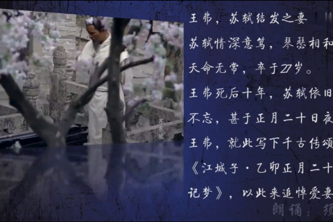 奶奶去世一个月，梦中再现奇迹，解读梦境中的情感与记忆