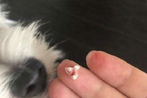 梦境解析，晚上做梦梦到自己掉了两颗牙上面的含义