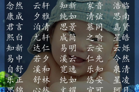 周公解梦小猴子，探索梦境中的智慧与启示