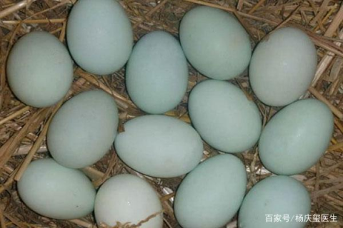 我梦见捡了好多的鸡蛋和鸭蛋，梦境背后的深层预示与解析