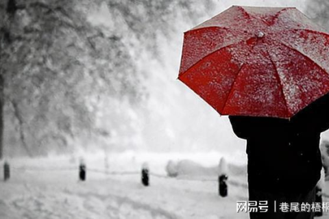 梦见向喜欢的人借雨伞，情感与依赖的预兆