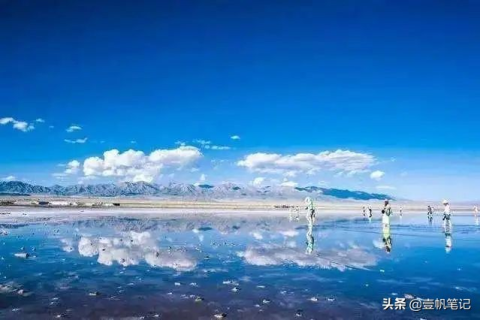 梦境交织，我梦见两条狗拴在一起，寓意深长的双重羁绊