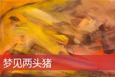 梦见猪头劈成两半，探索梦境背后的深层含义