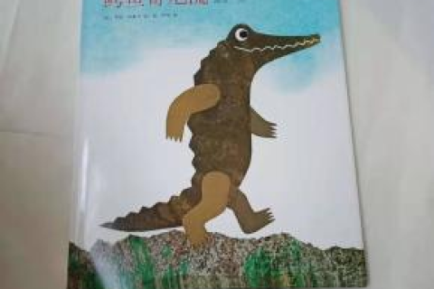 梦境中的隐秘寓言，蛇与鳄鱼的交织象征——向内高人求解梦之预兆