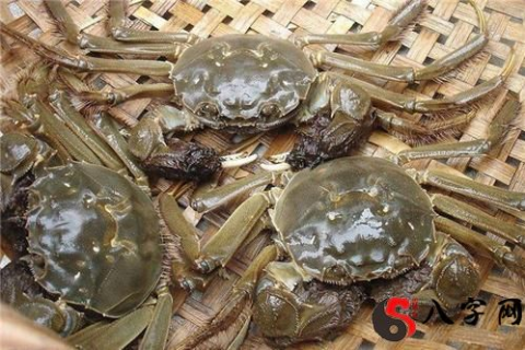 梦见抓一群小螃蟹右胳膊被咬，寓意与解析