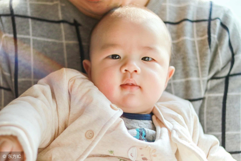 梦境解析，探索我昨天梦到两条小蛇的深层含义