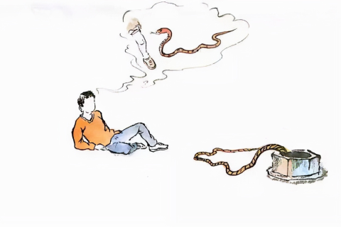 男朋友梦境中的蛇影，探索潜意识的恐惧与深层含义