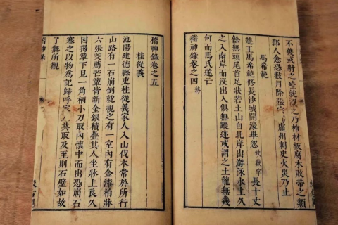 梦见与心仪女生在同学间嬉戏打闹，预示的深层含义与心灵启示