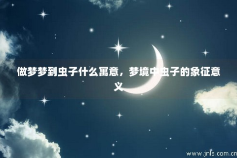 梦境解析，梦见腿透明与虫游——探索深层心理的象征与隐喻