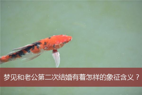 孕初梦境解析，大蟒蛇缠身之谜与心灵深处的隐喻