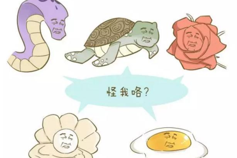 梦境解析，女人梦见很多蛇的深层含义与心理预兆