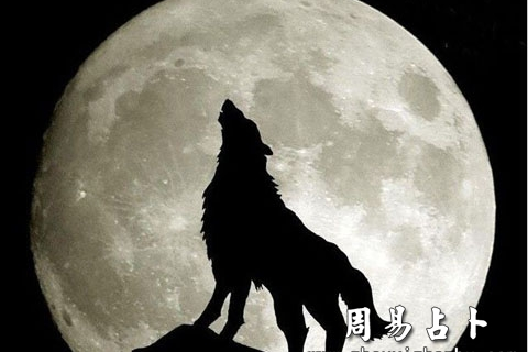 梦见狼吃人，梦境背后的深层含义与心理解析