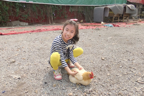 梦见锅里放着鸡蛋丸子，寓意与解析