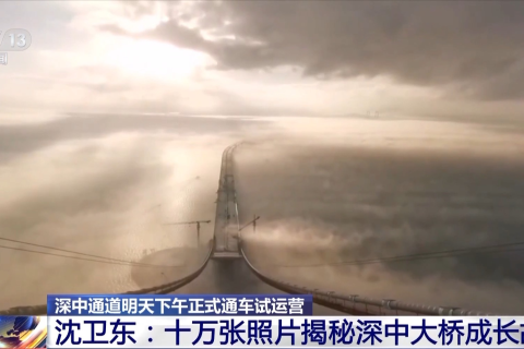 从梦境深渊到心灵桥梁，解析我做梦梦见从桥上掉下去的寓意与启示