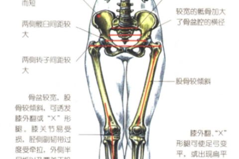 梦见自己娈成大象在游泳，探索梦境背后的深层含义