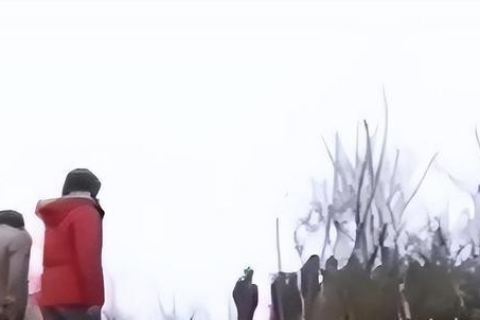 老人梦境中的神秘指引，为何陌生人让她睡在地上？