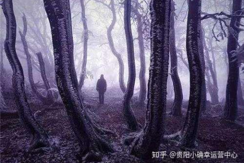 梦境中的冥界使者，解析梦见好几个棺材包围着自己的深层含义