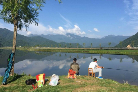 梦境解析，梦见黄鳝、蛇与众多鱼儿的深层含义
