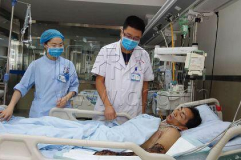 梦见被蛇咬了胳膊，梦境背后的深层含义与解析