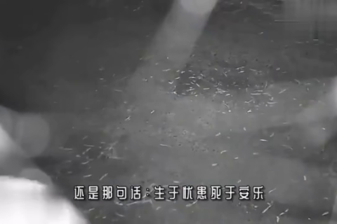 晚上睡觉梦见河里有好多血和死人，梦境背后的深层解析与预兆