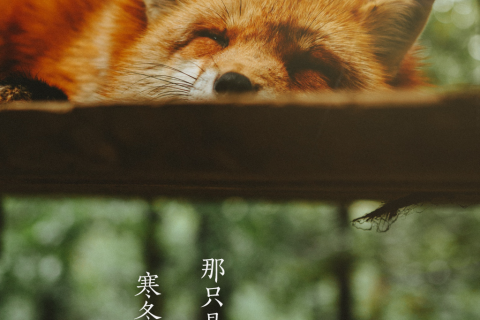梦境中的纯真笑语，解读梦见自家小孩欢笑的深层含义