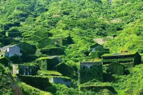 梦境迷雾中的神秘恋人，探索未知之爱的深层含义