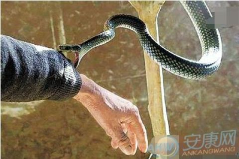 梦境解析，为何梦见好多蛇缠身却未被咬，最终被我杀死