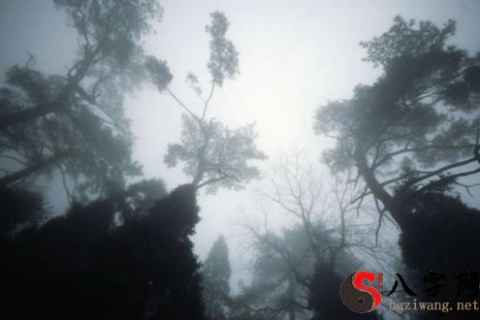 周公解梦，梦境与现实交织的迷雾