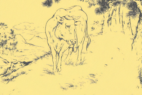 梦见蛇钻到身体里面去了，潜意识中的警示与启示