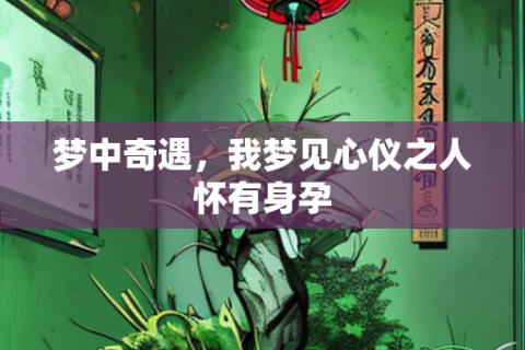 梦境中的奇遇，怀孕与陌生男子的婚礼