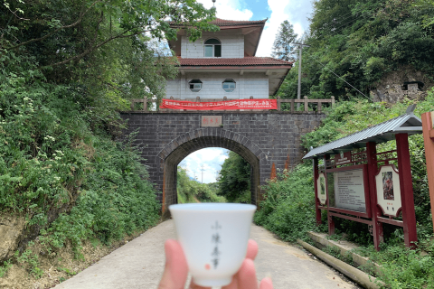 梦见两条大蛇与我共眠，解读梦境中的深层含义