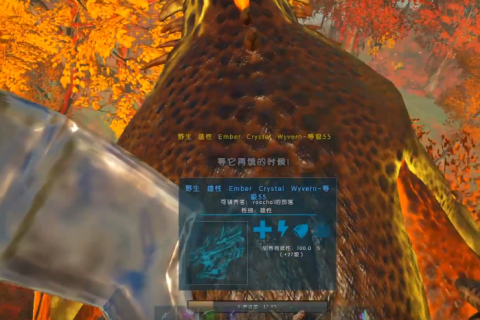 做梦梦到血，是好是坏？解析梦境中的血色奥秘