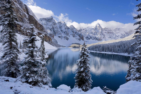 梦境中的浪漫雪景，昨晚梦到下雪与情侣共坐的寓意解析