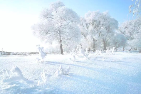 梦境解析，梦到下了大雪，地上白茫茫一片，预示着什么？