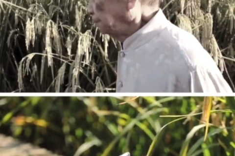 梦境中的永恒，梦见我过世的爷爷，依旧如昔与我们交谈