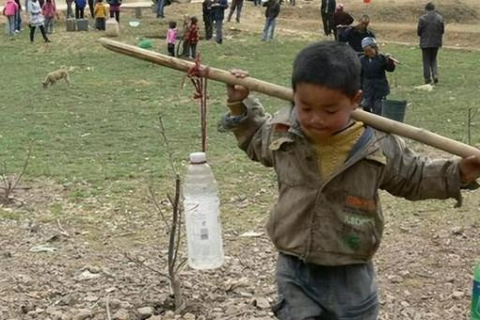 梦见爷爷快死了，是吉是凶？解梦专家为你揭秘梦境背后的深层含义