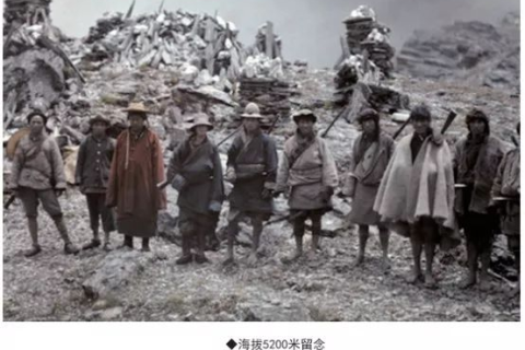 梦境的双翼，解读梦到两只蝙蝠的深层含义