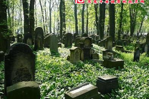 梦见女人梦见新坟墓，周公解梦与深层含义解析
