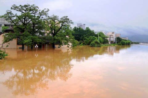梦境解析，梦见村里学校门口很大的水，我在水里借助东西想泳涌回家