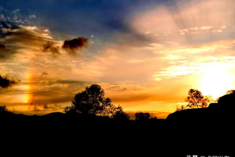 求解梦高手解答，梦见自己养的狗被一只小狗咬掉了下巴