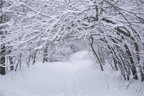梦境中的雪花飘落，解读梦见下雪的深层含义与心理预兆