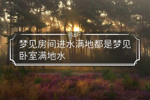 梦境解析，屋内进水后随水流走的深层含义