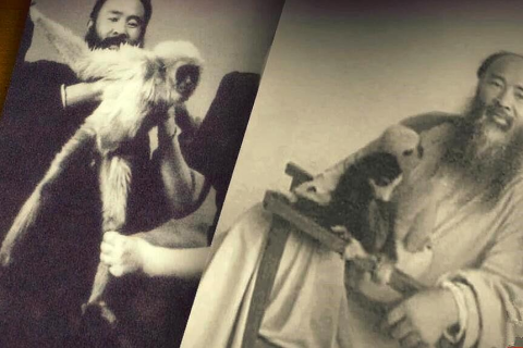 梦境交错，解析梦见考试作文部分写乱了的深层含义