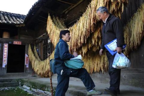 梦境解析，为何会梦到狗咬自己的右手？