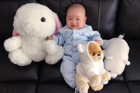 周公解梦，梦见老虎卧家中，寓意吉凶如何？