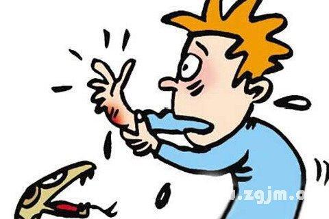 昨晚梦见被蛇咬了，这究竟意味着什么？